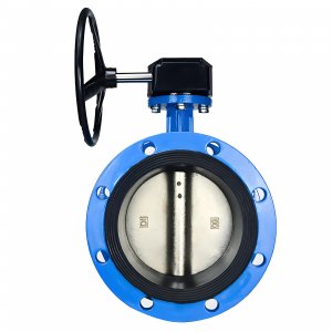 法蘭式蝸輪蝸桿蝶閥DN40，1.6Mpa（橡膠密封